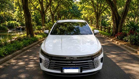 BYD KING 1.5 DM-I PHEV GS AUTOMÁTICO